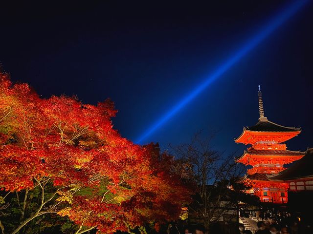 『清水寺』京都の紅葉『夜間特別拝観』