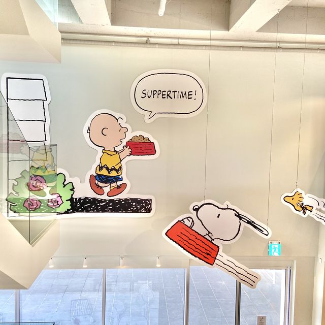 귀여운 제주 스누피가든 카페🐾