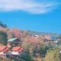 บ้านร่องกล้า​ ฟิลเหมือนหมู่บ้านญี่ปุ่น