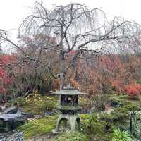 麻雀雖小但紅葉鋪天的優美寺院 - 寶筐院