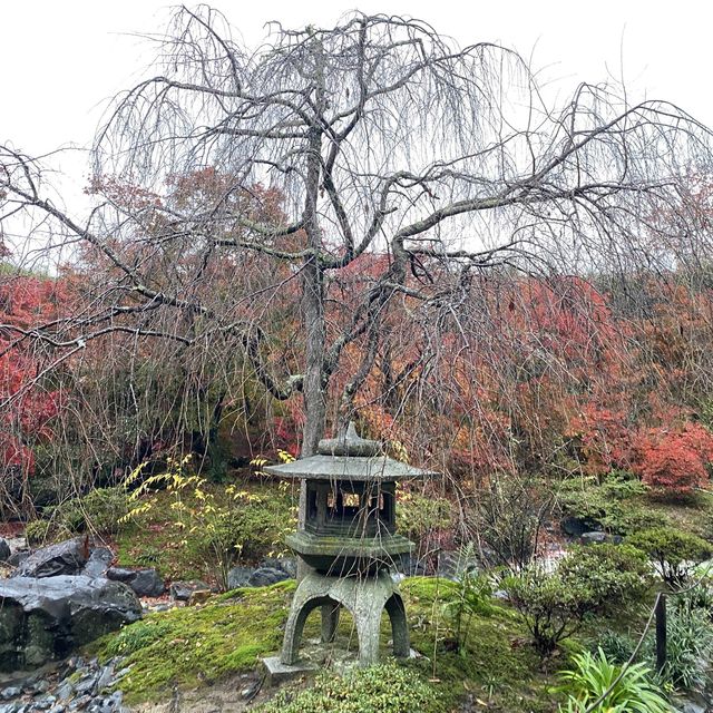 麻雀雖小但紅葉鋪天的優美寺院 - 寶筐院