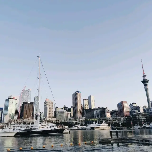 Christmas in Auckland