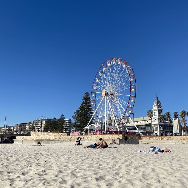 👙Beachy Time 🏖️🇦🇺