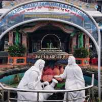 Bunda Maria annai velangkanni