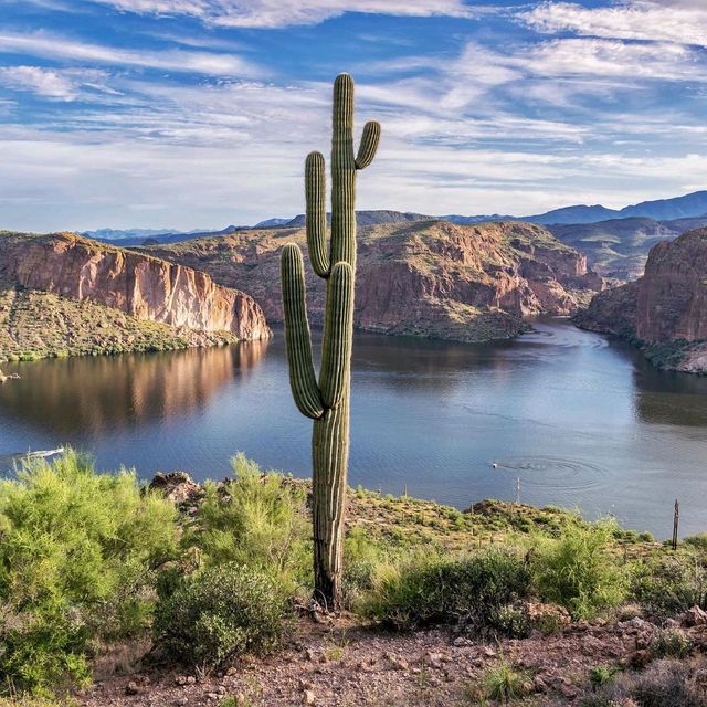 Canyon Lake