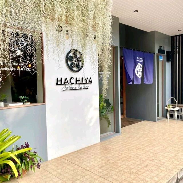 Hachiya coffee roastery

