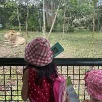 Cebu Safari and Adventure Park