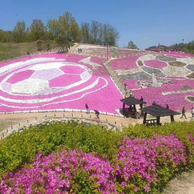 산청군 생초조각공원 꽃잔디축제🌼🌸🌺