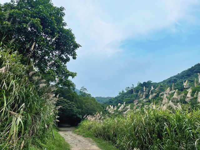 超靚大草原｜昂坪高原
