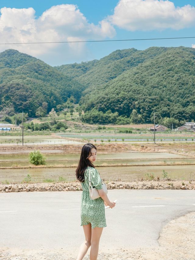 파리 부럽지않은 유럽감성 브런치카페