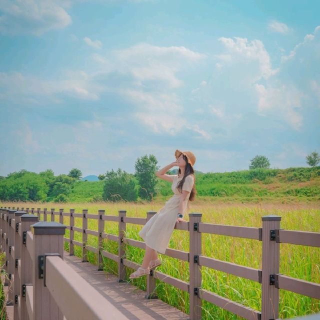 💚대구에서 만난 제주스러운 자연 [대구, 대명유수지]