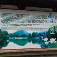 花花🌺🌷🥀🌻🌼🌸公園