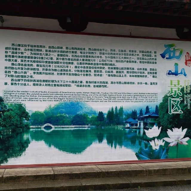 花花🌺🌷🥀🌻🌼🌸公園