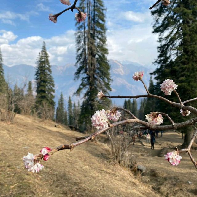 kedarkentha trek 