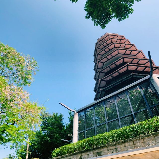 ［賞花觀鳥野餐聖地］元朗公園+百鳥塔