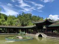 本地遊 ｜ 荔枝角公園 ｜賞花 ｜ 小百日草