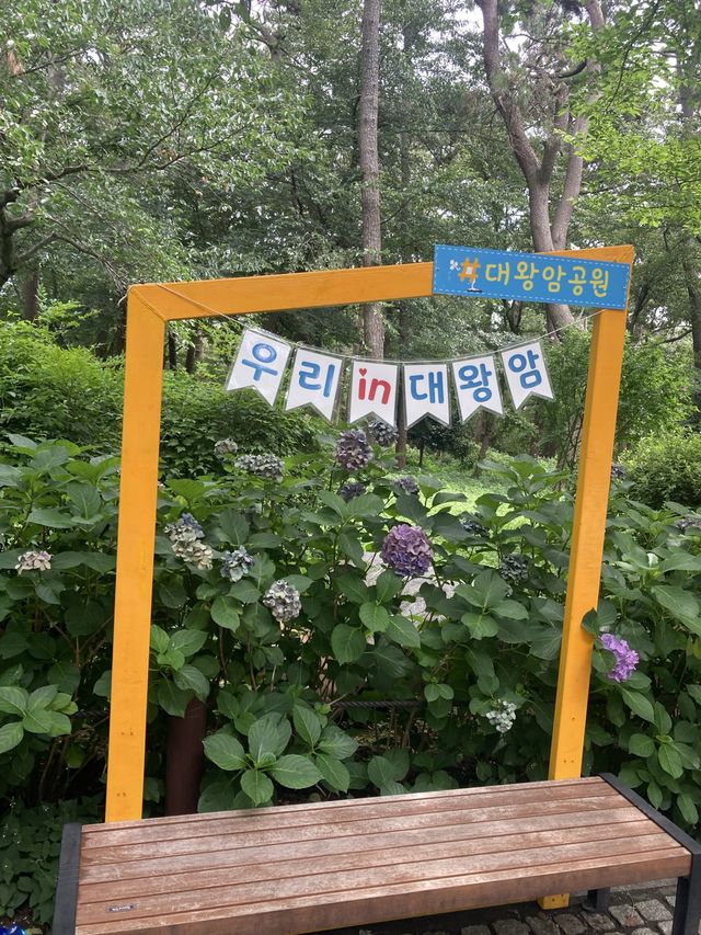 여름 국내여행지 추천