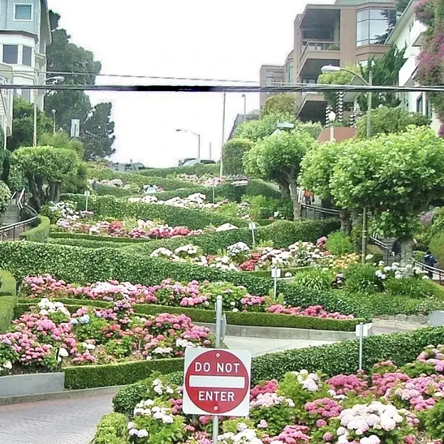 The Famous Lombard Street 