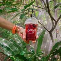 คาเฟ่ในสวน กาญจนบุรี