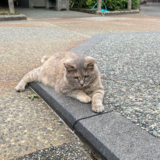 金沢旅行in夏休み