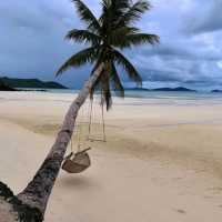 A Beach Within The Forest