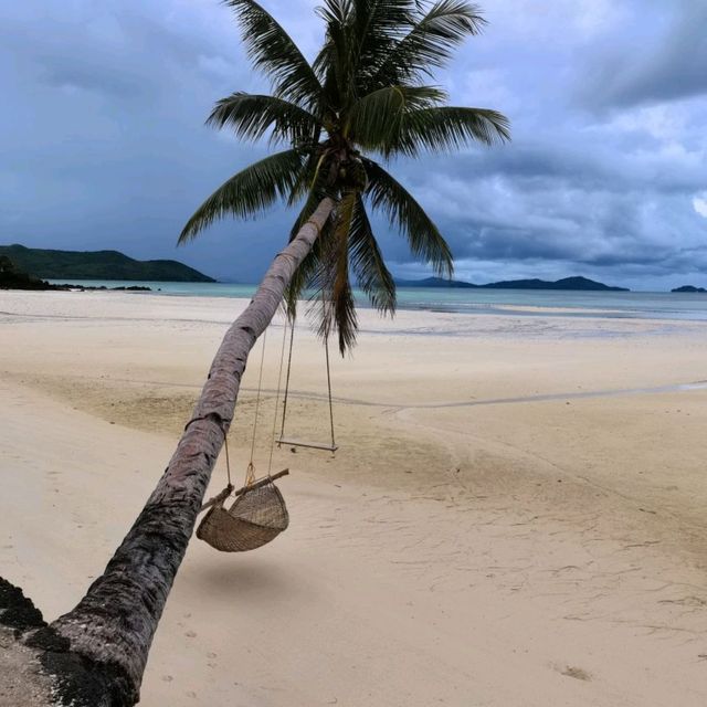 A Beach Within The Forest