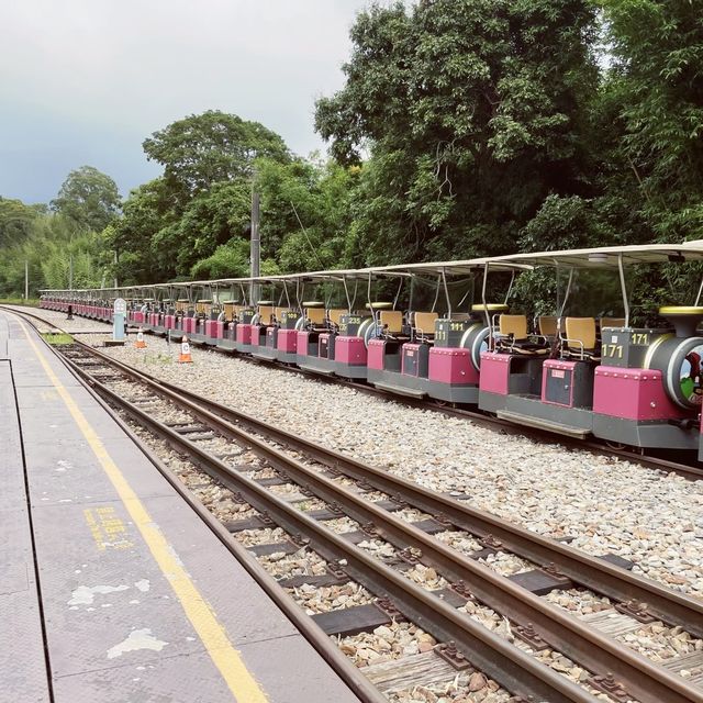 苗栗鐵道自行車｜悠閒的看風景好選擇