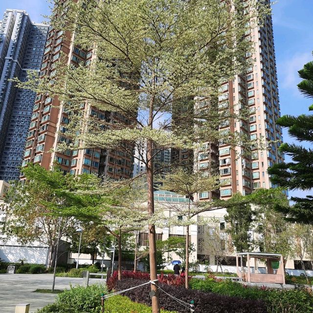 將軍澳坑口文曲里公園