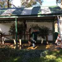 Caversham Wildlife Park 