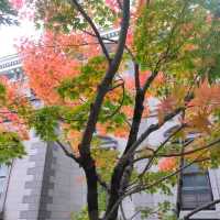 東京 新橋 "紅葉の旧新橋停車場駅舎"         ヨーロッパ!?、新橋です!! 緑・黄・オレンジ・赤、カラフル!!