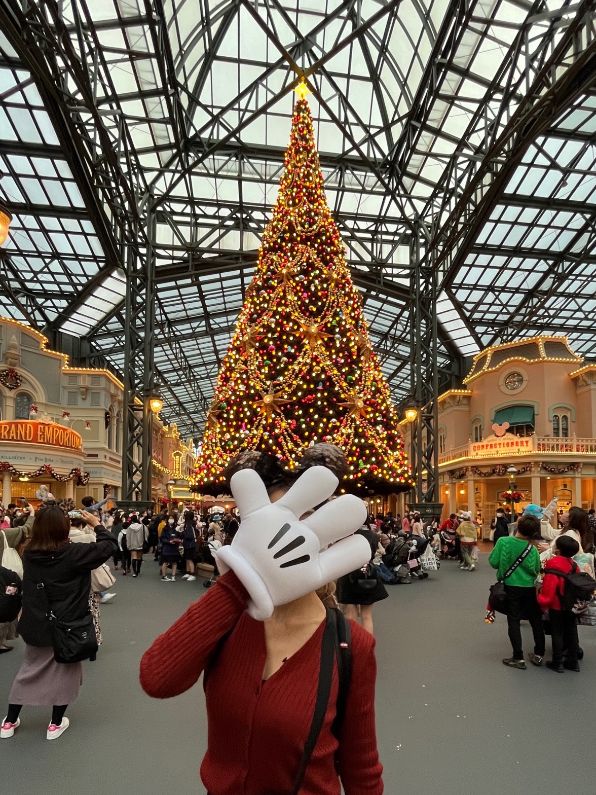ディズニークリスマス シンデレラ城周辺映えスポット Trip Com 浦安の旅のブログ