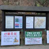 가야산으로 가야해!