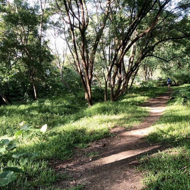 Hiking along the Rail Corridor/Rainbow Bridge