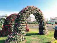 臺中后里 市郊人氣後花園 中社觀光花市花海