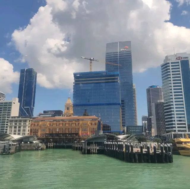 Auckland City Scape