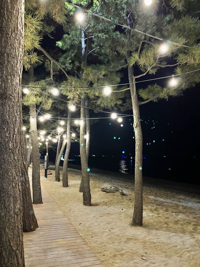 울산 겨울여행 진하해수욕장 트리 별빛축제♥