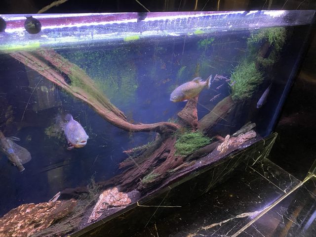 鮮為人知的中價精品酒店