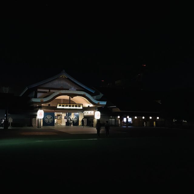 도쿄 속 작은 섬 오다이바