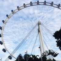 新加坡摩天輪🎡