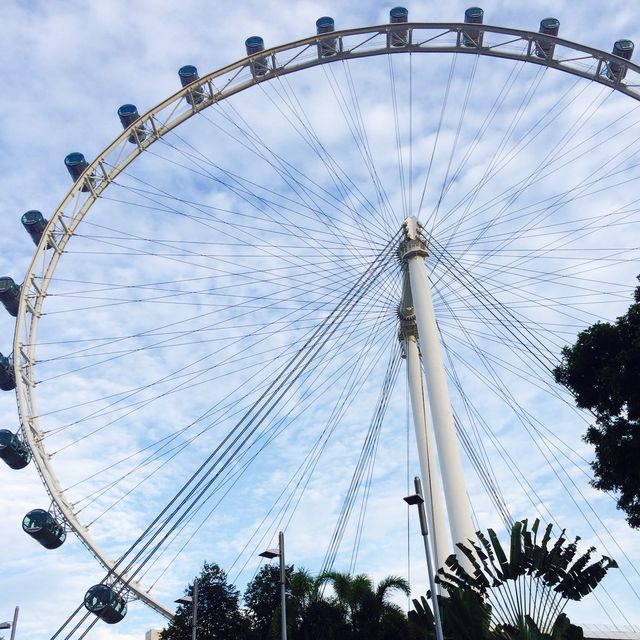 新加坡摩天輪🎡
