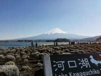 【山梨】河口湖からの富士山の眺め