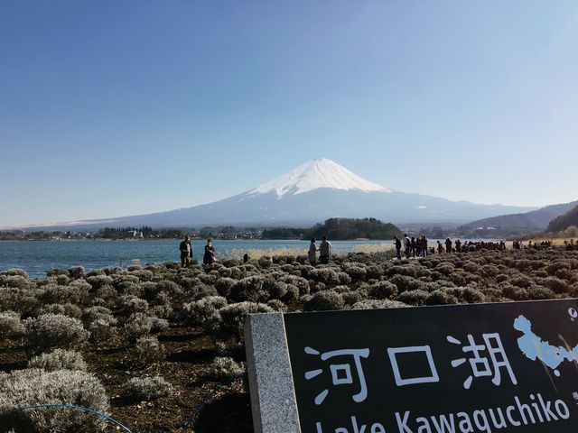 【山梨】河口湖からの富士山の眺め
