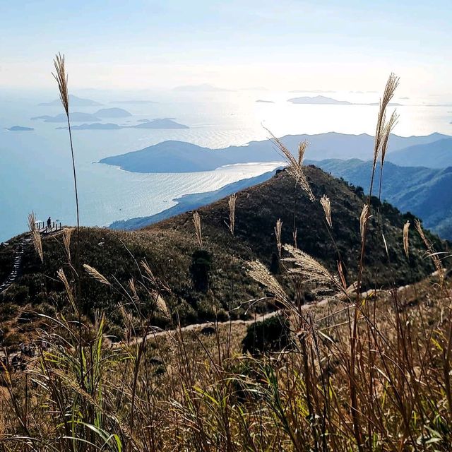 一期一會 大東山⛰🌾📷