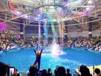 【東京・水族館】アクアパーク品川🐬