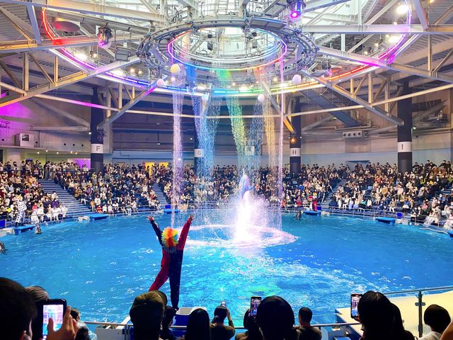 【東京・水族館】アクアパーク品川🐬