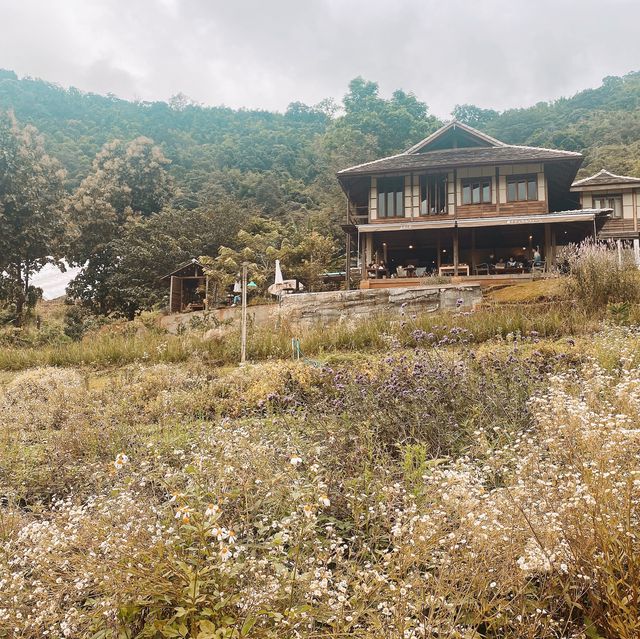 mori natural farm 🏔