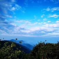 大帽山日出