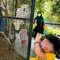 Family One day Trip in Zoo 🦒🐏🦌