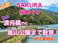 京都　KYOTO SAKURAめぐり❗️渡月橋から嵐山公園中之島地区まで散策してみた！
