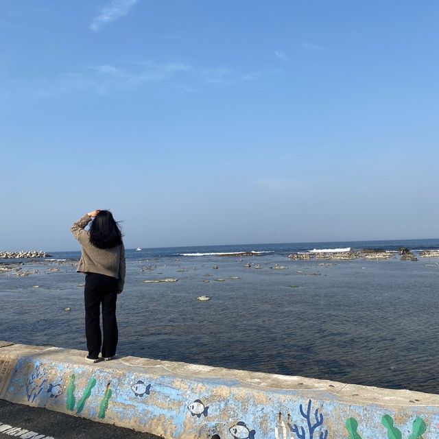 포항 가볼만한 곳 [칠포 해수욕장]